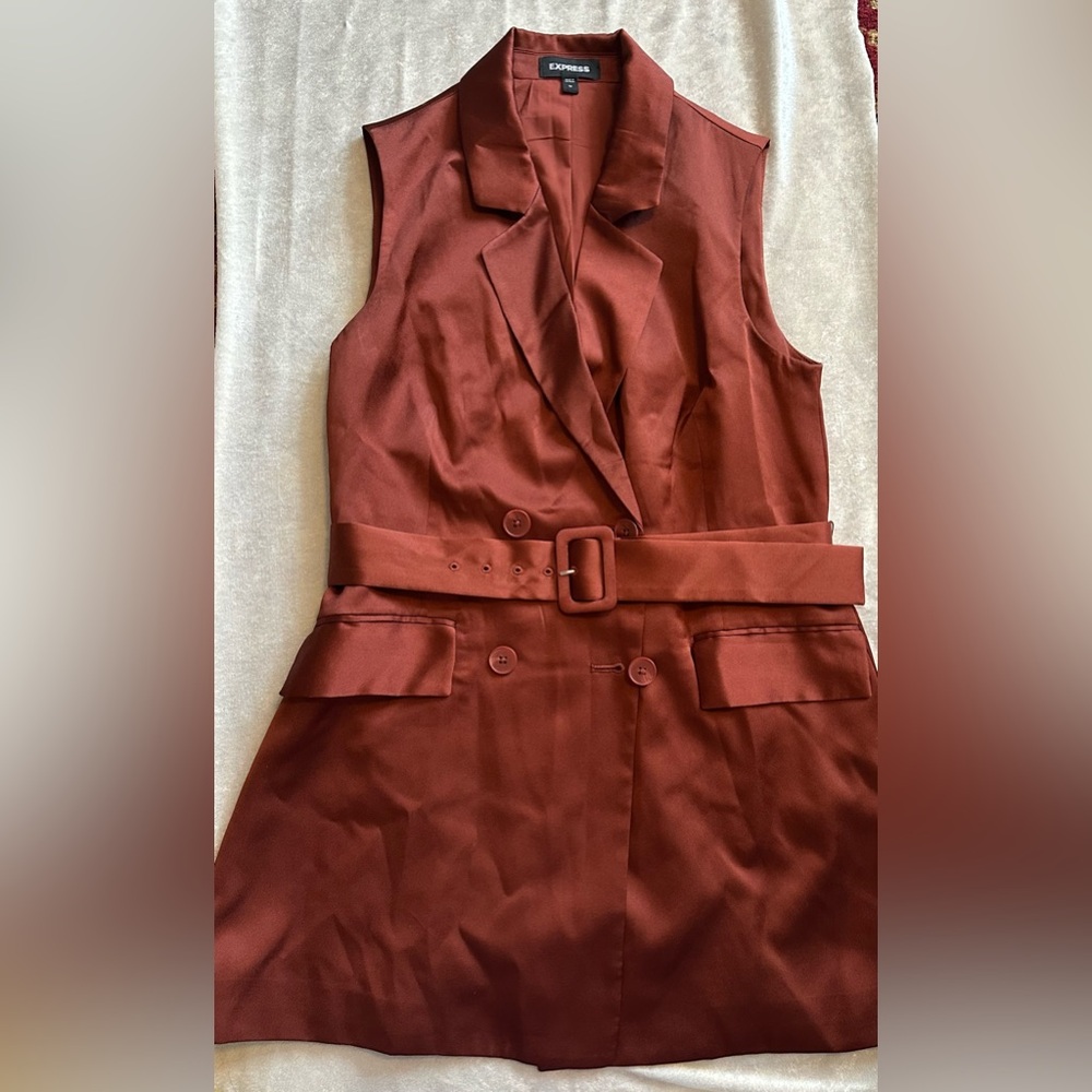 NWOT Express mini dress